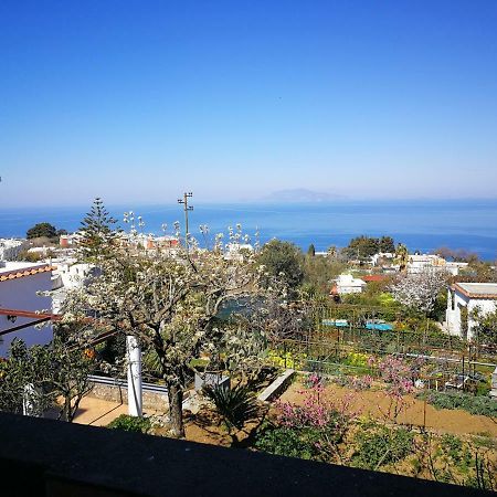 Maryhome Anacapri  Kültér fotó