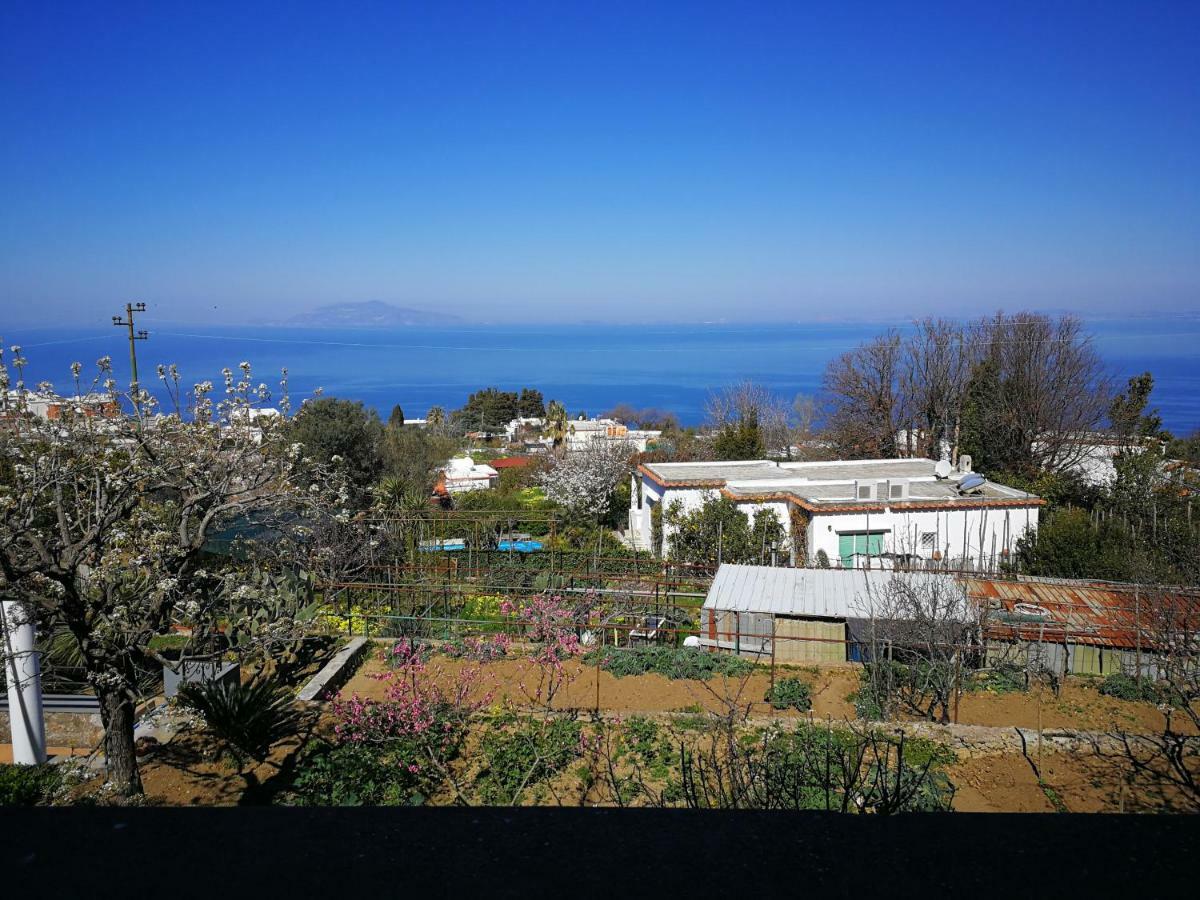 Maryhome Anacapri  Kültér fotó